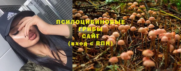 МДПВ Абдулино