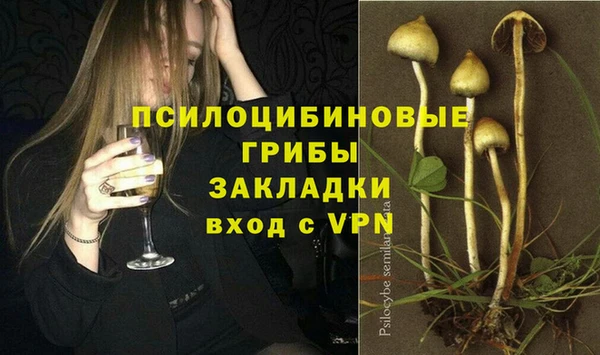 прущие грибы Каменск-Шахтинский