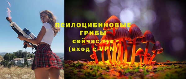 амф Абинск