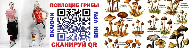 Псилоцибиновые грибы Psilocybine cubensis  купить наркотик  Лесозаводск 
